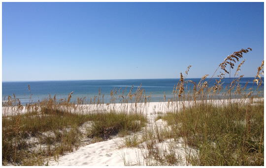 Cape San Blas Gulf Front Land